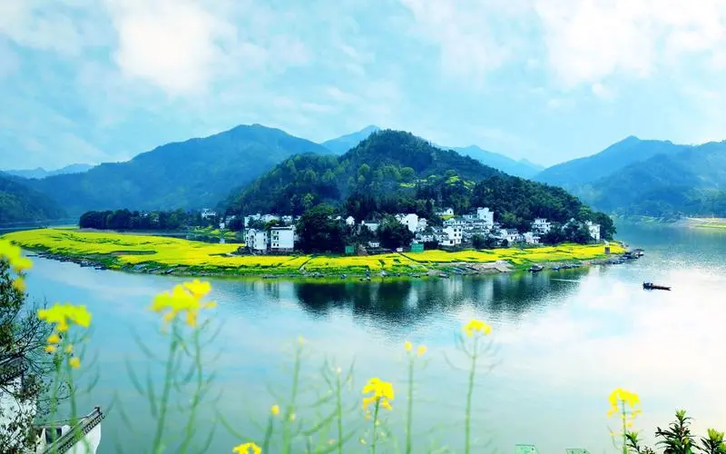 创新创新科技